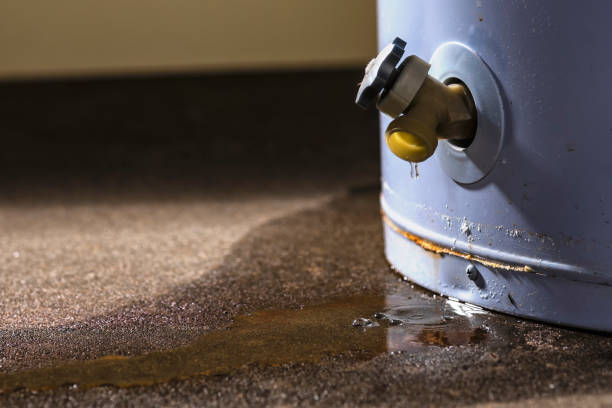 Best Local water damage restoration  in Madison Park, NJ