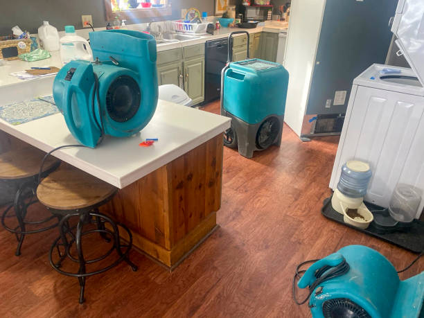 Best Professional water damage repair  in Madison Park, NJ