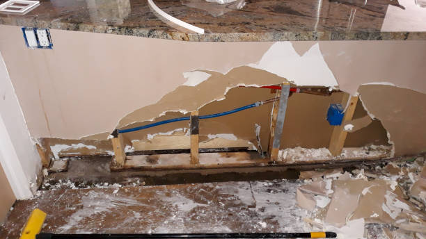Best Basement water damage restoration  in Madison Park, NJ