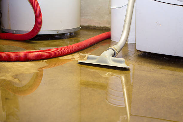 Best Flooded house restoration  in Madison Park, NJ